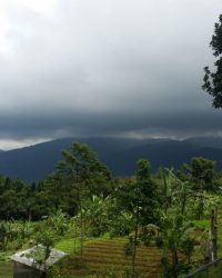 IMG-20220827-WA0015