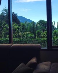 IMG-20221119-WA0011