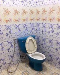 IMG-20221119-WA0018