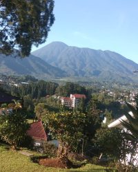 IMG-20230330-WA0055