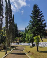 IMG-20230502-WA0058