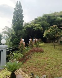 IMG-20230506-WA0059
