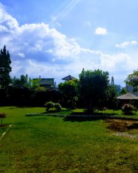 IMG-20230627-WA0101