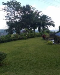 IMG-20240213-WA0633