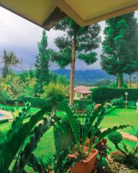 IMG-20240319-WA0019