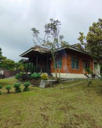 IMG-20240319-WA0134
