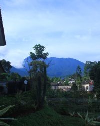 IMG-20240401-WA0028