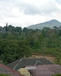IMG-20240407-WA0050