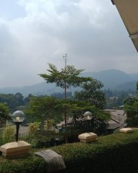 IMG-20240429-WA0086