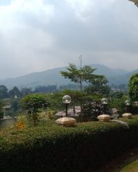 IMG-20240429-WA0088