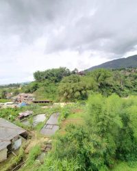 IMG-20240429-WA0191