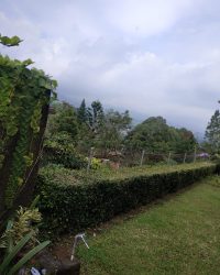 IMG-20240504-WA0051