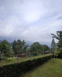 IMG-20240504-WA0052