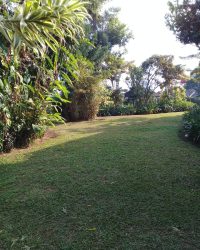 IMG-20240506-WA0112