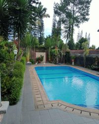 IMG-20240919-WA0049
