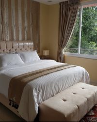 IMG_20221103_135028
