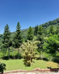 IMG_20240116_072236