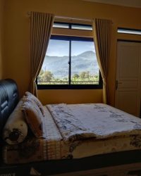 IMG_20240321_141305