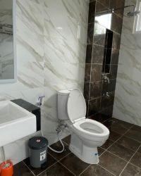 IMG_20240403_130439