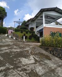 IMG_20240429_132428