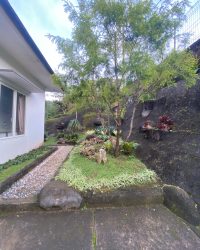 WhatsApp Image 2025-02-12 at 12.16.26