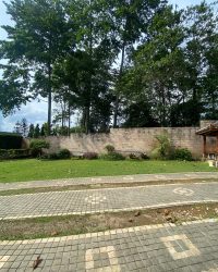 WhatsApp Image 2025-02-12 at 21.20.00 (3)
