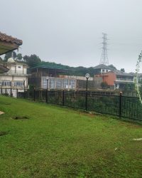 thumbnail_IMG_20240425_134632