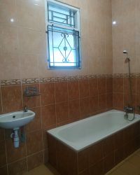 thumbnail_IMG_20240425_134952